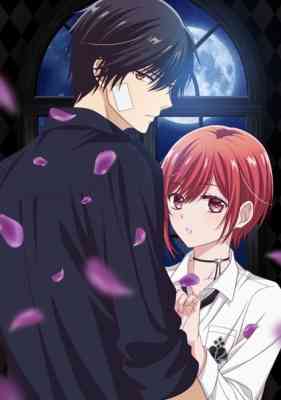 Vampire Dormitory poster