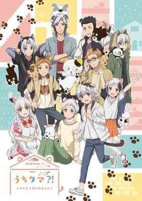 Uchitama?! Have you seen my Tama? poster