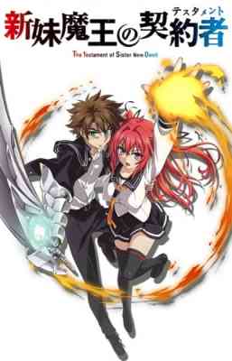 The Testament of Sister New Devil OVA poster