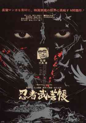 Manual of Ninja Martial Arts poster