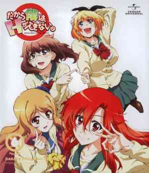So, I Can't Play H! (OVA) poster