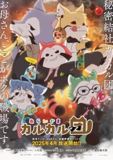 Araiguma Calcal-dan poster